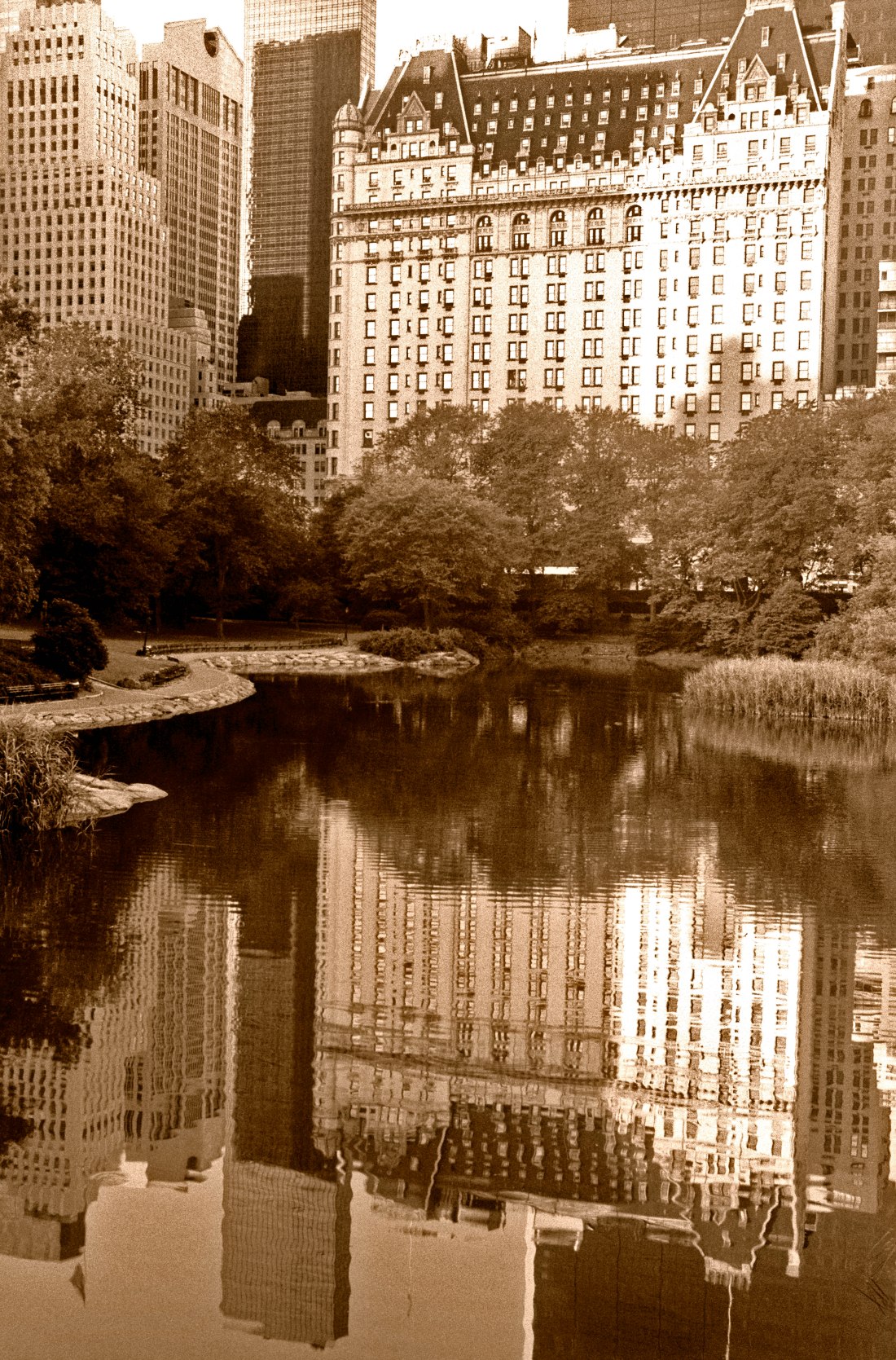 Plaza Hotel Reflection