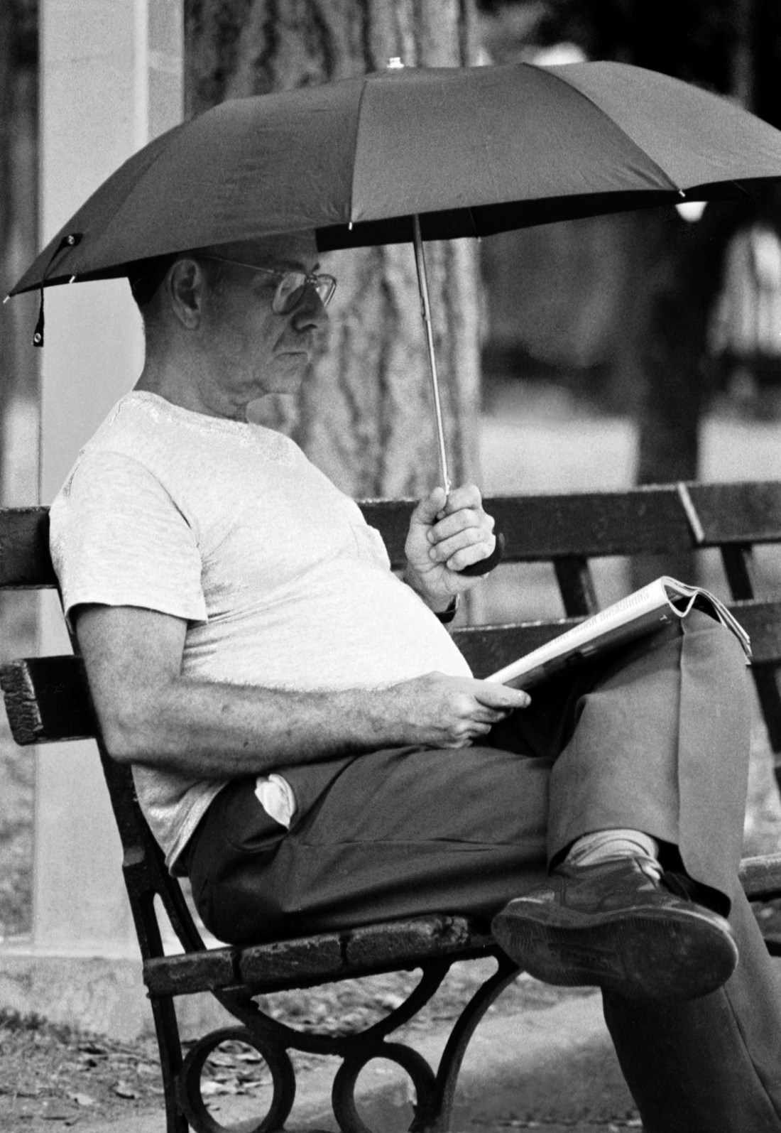 unperturbednewyorker